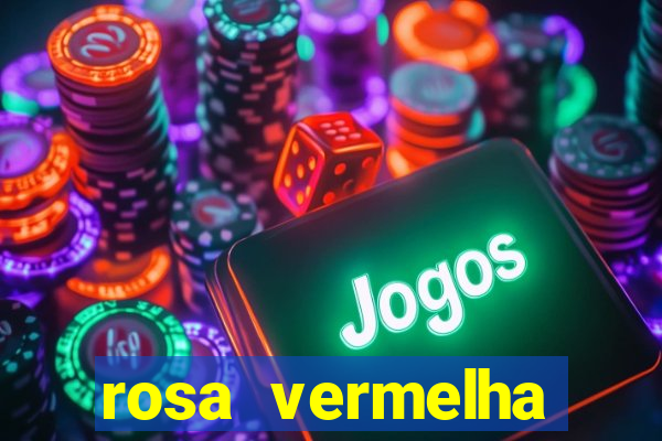 rosa vermelha (letra e cifra)